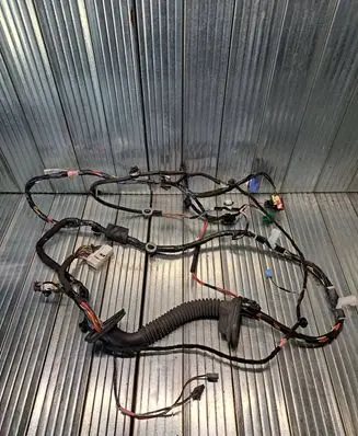 Tesla Model 3 Front door wiring loom 106795700E