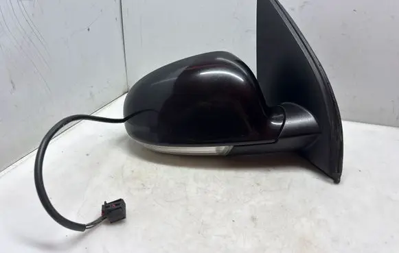 Volkswagen Golf V Front door electric wing mirror E13010880