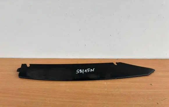 Audi R8 42 Rear bumper trim bar molding 420807459C