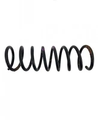 Ford C-MAX II Rear coil spring