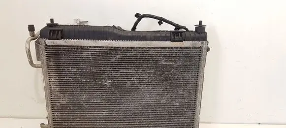 Ford Fiesta Radiator set 
