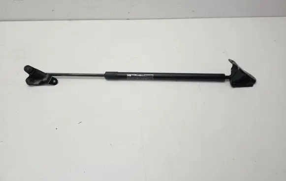 Tailgate strut