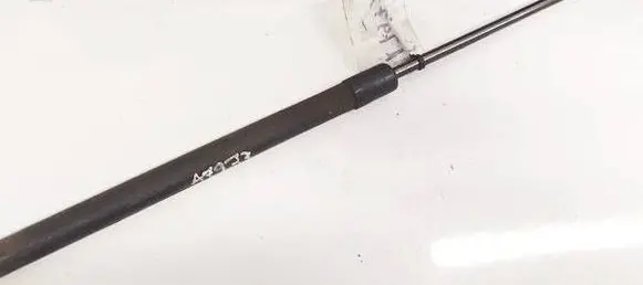 Tailgate/trunk strut/damper