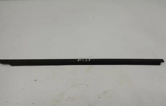 Citroen C3 Front door glass trim molding