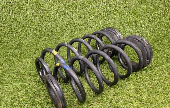 Rear coil spring