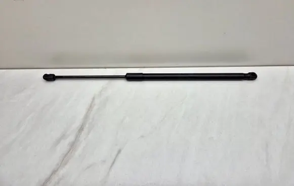 Tailgate strut