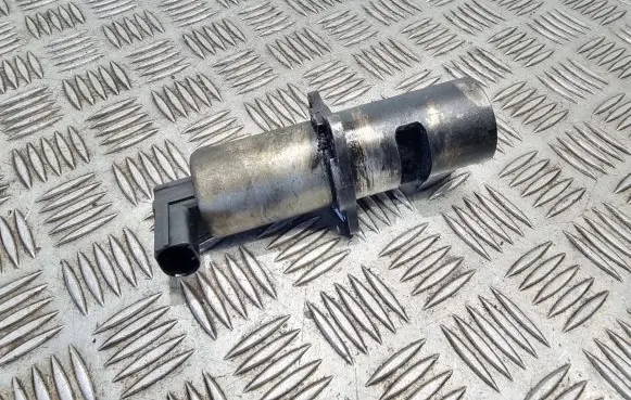 Renault Scenic I EGR valve