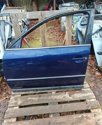 Volkswagen PASSAT B5.5 Front door