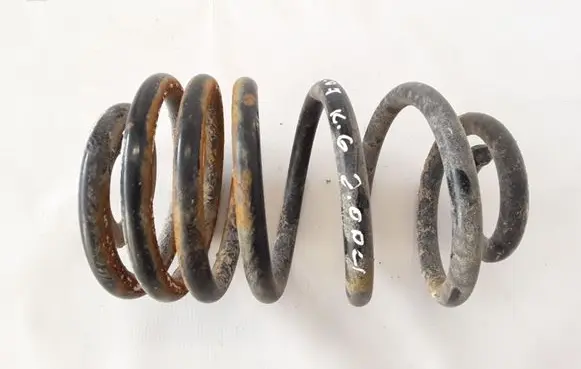 Renault Trafic II (X83) Rear coil spring 550202870R