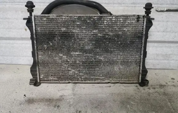 Ford Transit Coolant radiator 1C1H-8005-GE