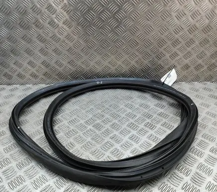 Peugeot 508 II Rubber seal front door (on door) 9813387280