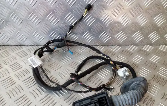 BMW 1 F20 F21 Front door wiring loom 9335289