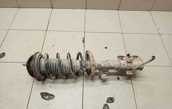 Suzuki Grand Vitara II Front shock absorber with coil spring