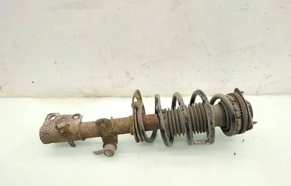 Dodge Grand Caravan Front shock absorber with coil spring 