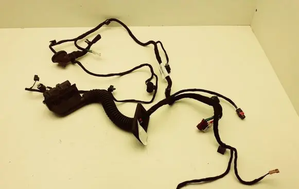 Front door wiring loom