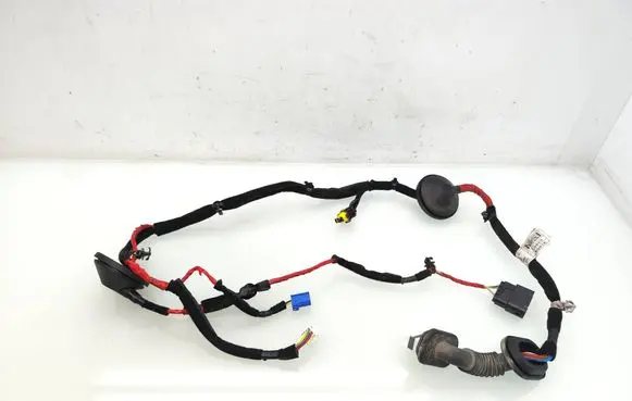 Hyundai Ioniq Rear door wiring loom 91650G2051