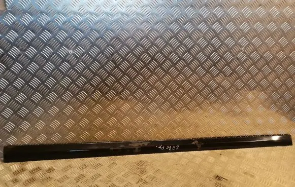 Mercedes-Benz C W203 Front door trim (molding) 2036903082