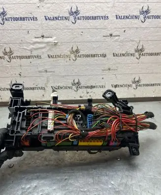 Fuse module