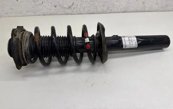 Volkswagen PASSAT B7 Front shock absorber with coil spring 317575