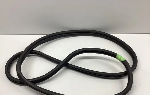 Hyundai Ioniq 5 Rubber seal rear door 