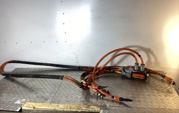 Tesla Model S Other wiring loom 10970010E 106260010C 103377210H
