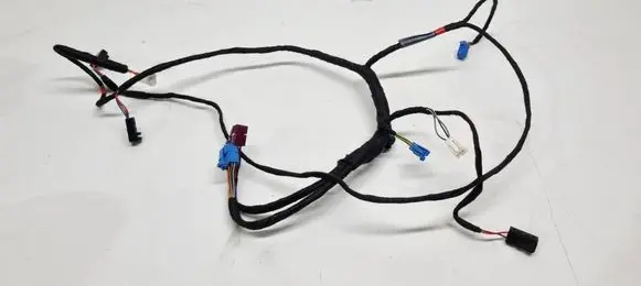 Front door wiring loom