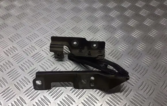 Opel Astra J Tailgate/trunk/boot hinge 20879203