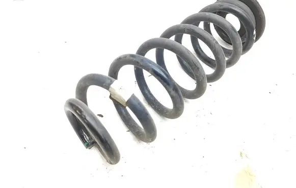 Rear coil spring