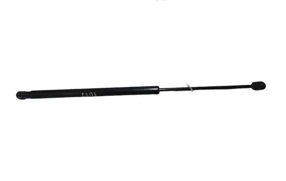 Tailgate/trunk strut/damper