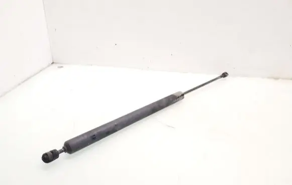 Tailgate strut