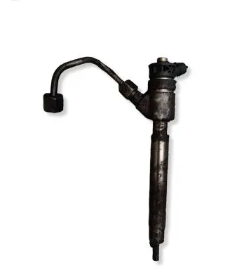 Citroen Berlingo Fuel injector 0445110955