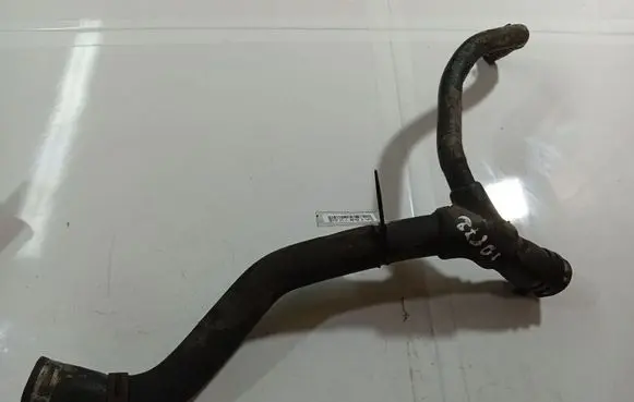 Renault Scenic I Engine coolant pipe/hose 