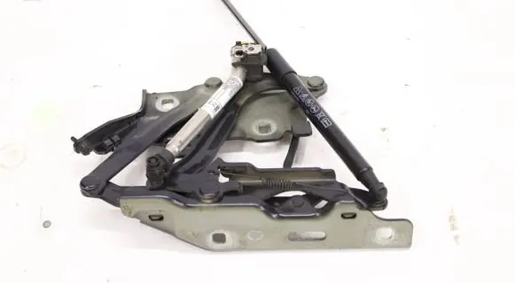 Audi A5 Engine bonnet/hood hinges 8W6823823B
