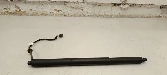 Tailgate/trunk strut/damper