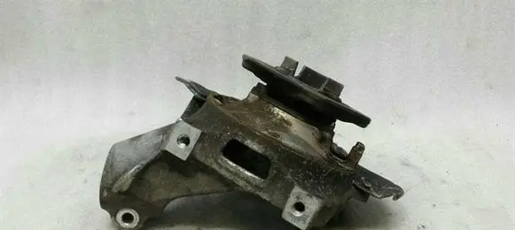 Porsche Cayman 987 Rear wheel hub 98733165706