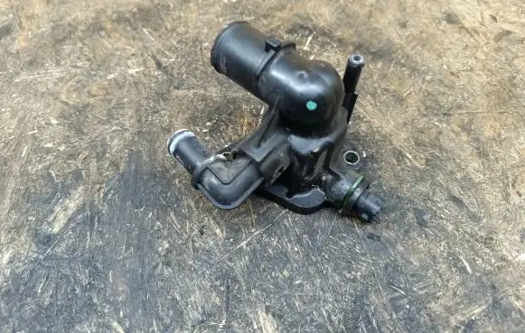 Thermostat/thermostat housing