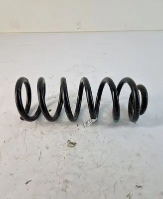 Rear coil spring
