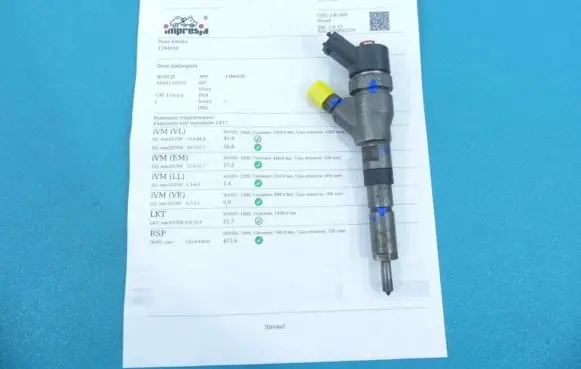 Citroen Xsara Picasso Fuel injector 0445110076 IMPRK1184456