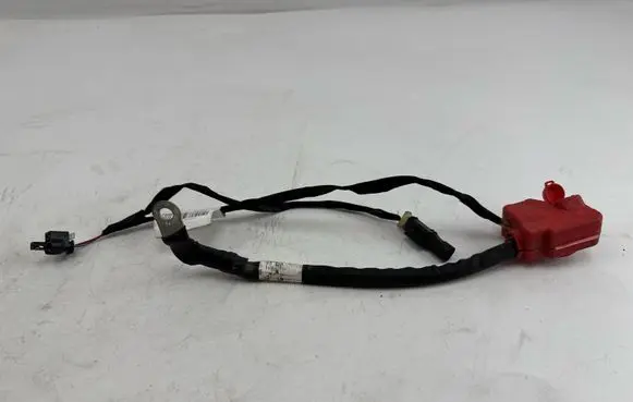 Mercedes-Benz EQC Positive cable (battery) 841C118101