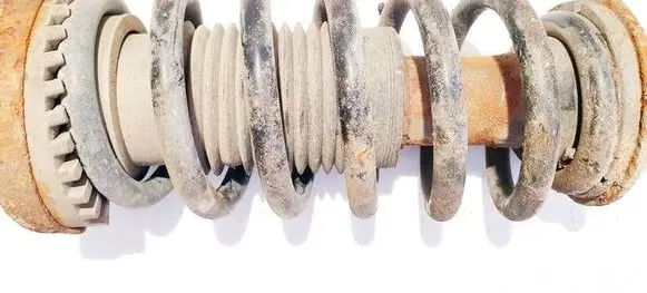 Dodge Magnum Front coil spring