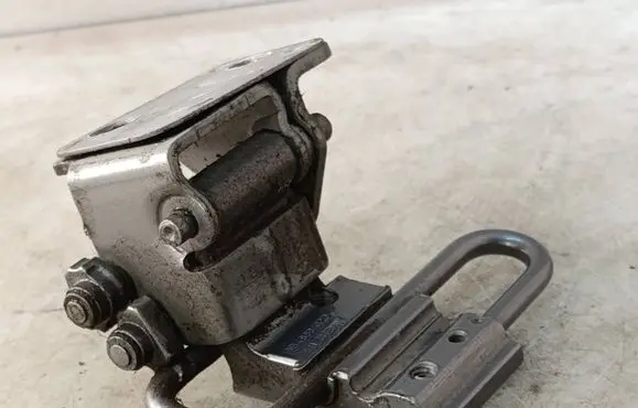 Rear door lower hinge