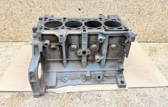 Fiat 500L Engine block 55229567