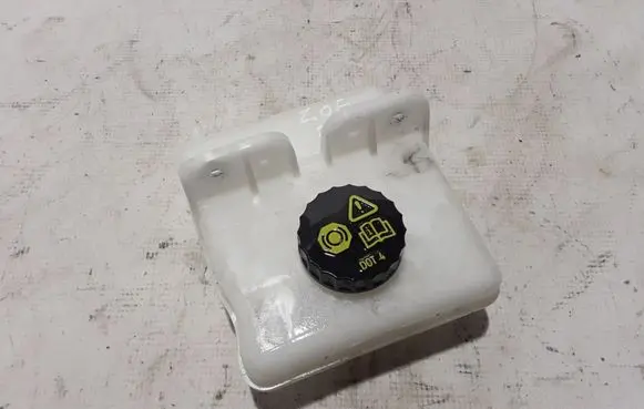 Renault Zoe Brake fluid reservoir 0204850986
