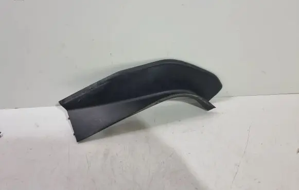 Rear/tail light trim molding