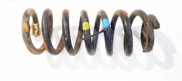 Rear coil spring
