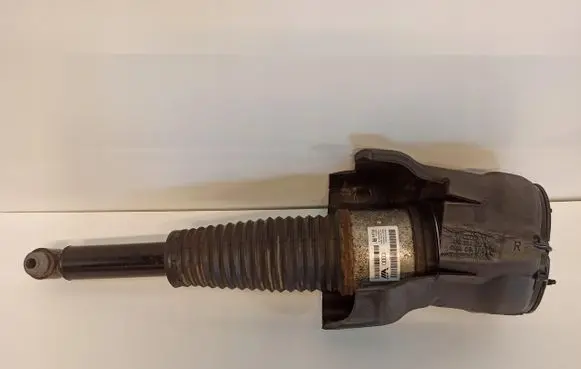 Audi A8 S8 D5 Rear shock absorber/damper 4H0616002AJ
