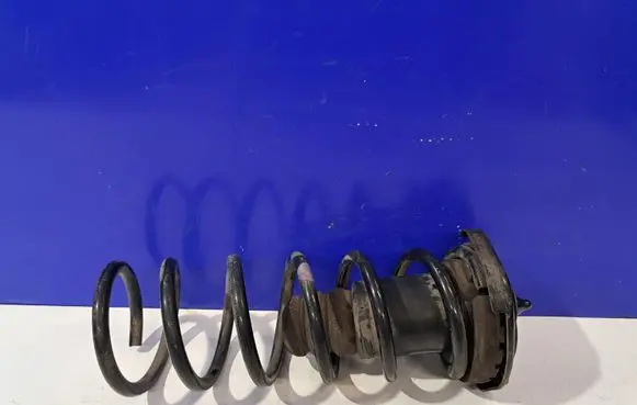 Rear coil spring