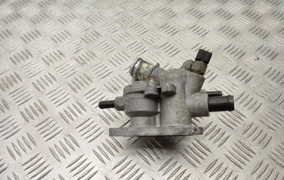 Thermostat/thermostat housing