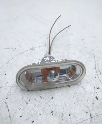 Front fender indicator light