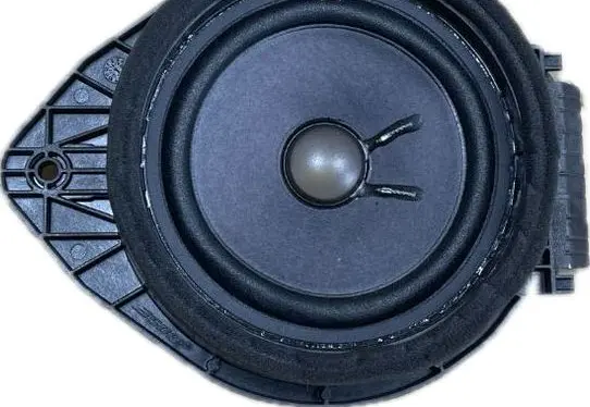 Buick Enclave II Rear door speaker 84187564